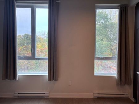 Appartement à louer - Montréal (Mercier/Hochelaga-Maisonneuve) (Hochelaga-Maisonneuve) Appartement à louer - Montréal (Mercier/Hochelaga-Maisonneuve) (Hochelaga-Maisonneuve) - Photo 4