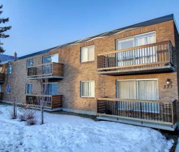 Charming One-Bedroom Apartment in the Heart of Bridgeland – 600 sq.... - Photo 1