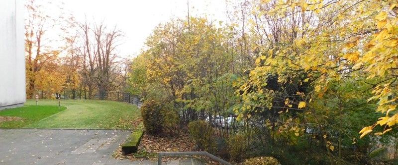 Gemütliche 3-Zi.-EG-Whg. mit sonniger Loggia - Foto 1