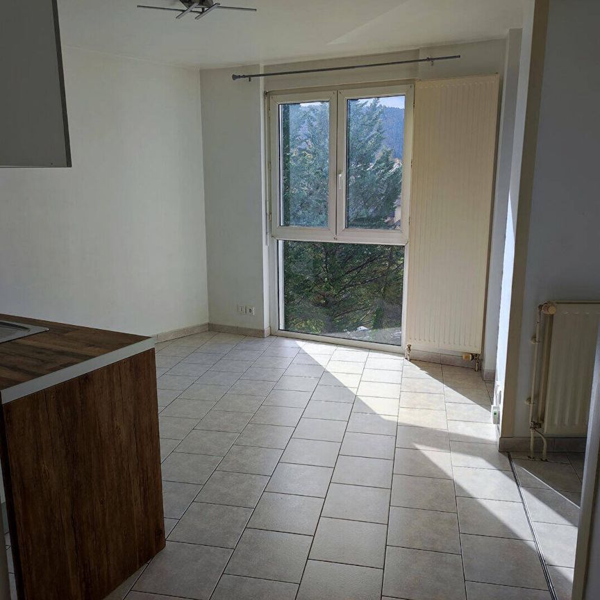 Location appartement 1 pièce 28.49 m² à Oyonnax (01100) - Photo 1