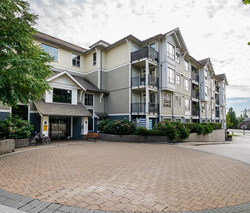 1 Bed Condo For Rent In Surrey. Undgr. Parking. Storage Locker. - Photo 2