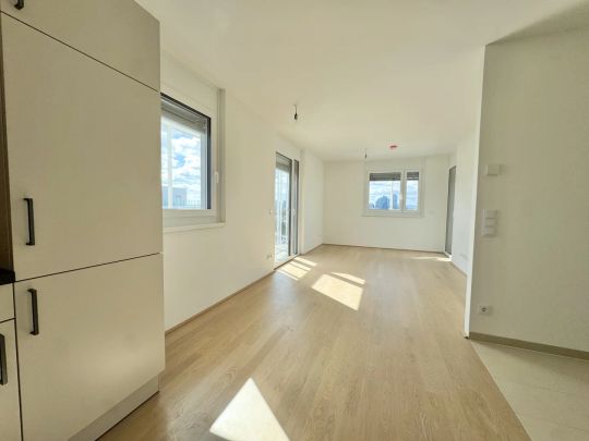 Wohnen mit Blick auf die Donau & Skyline Wiens - Photo 1