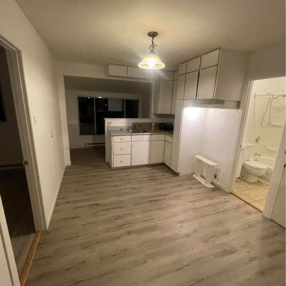 Appartement 4 1/2 à louer à Laval Ouest - Photo 1
