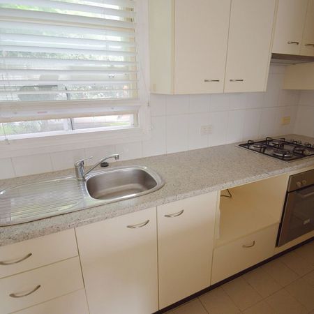 Wonderful One Bedroom Unit in Leafy Enmore! - Photo 3