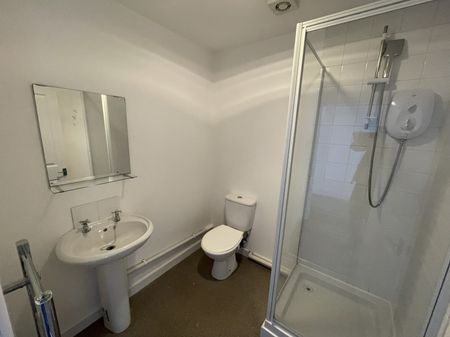 Berkeley Vale, Falmouth - Photo 5