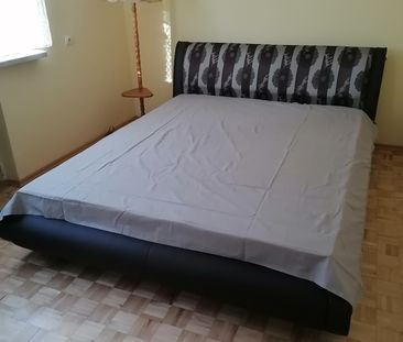 Łańcut, woj. Podkarpackie - Photo 5