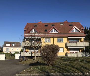 Location Appartement 3 pièces 55m² ST LOUIS 68300 - Photo 4