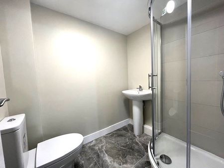 Ballyfermot Road, Ballyfermot, Dublin 10 - Photo 4