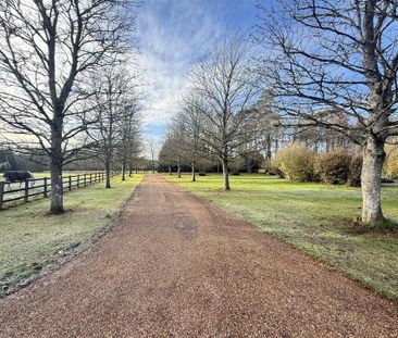 2 bedroom semi-detached house to rent - Photo 5