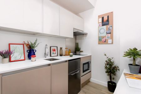 Extra Large Studio - Photo 3