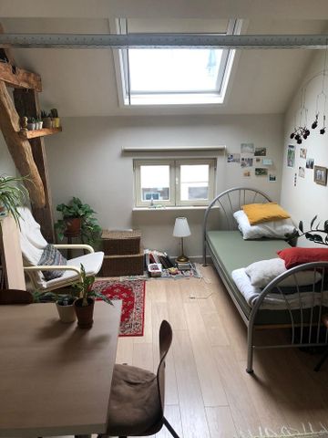 kamer 10 - Keizer Karelstraat 24 - Photo 3