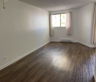 Bennett Manor — 305 - Photo 3