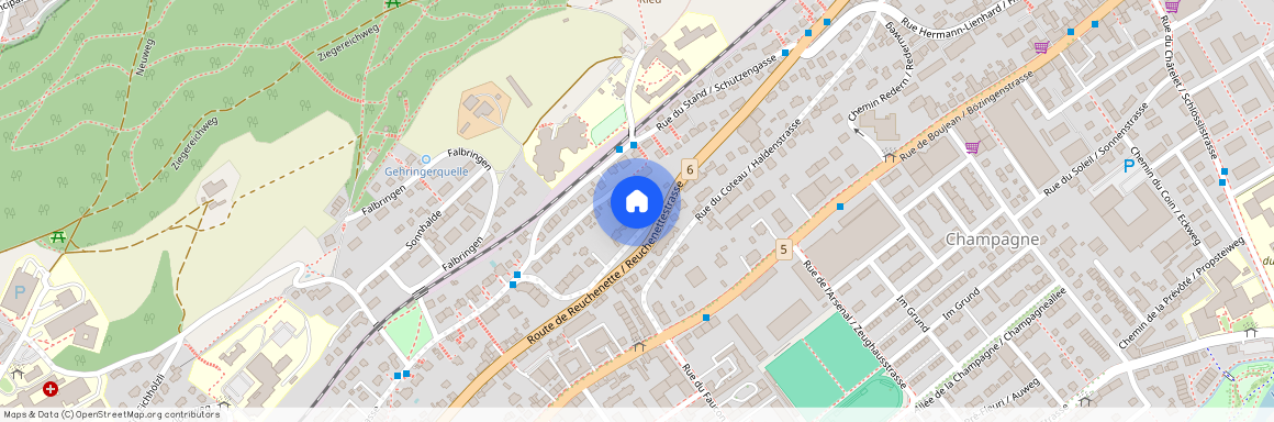 Pilatusstrasse 25, 2502 Biel/Bienne