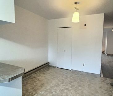 4492 Rue de La Haye, H1R 3M1, H1R 3M1, Montréal - Photo 3