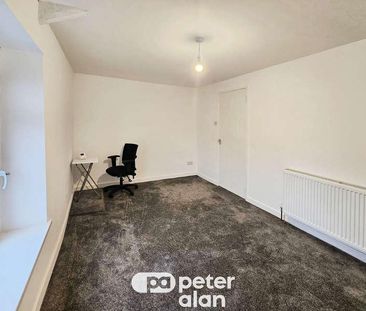 Jones Terrace, Swansea, SA1 - Photo 4