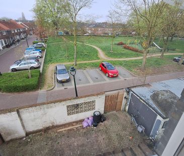 Den Bosch, 5213VH, Palmboomstraat - Foto 6