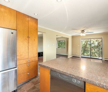 1 Bedroom - Photo 4