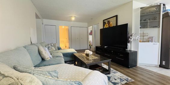 Antoine-du Verdier Appartement 4 ½ à Louer Sainte-Foy / Sillery Novembre 2026 - Photo 3