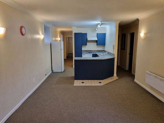 Spacious 2BR Mt. Victoria - Photo 1