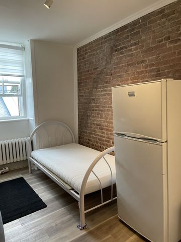 Superbe petit studio, Salle de bain commune, WIFI, rue Parvis - Photo 3