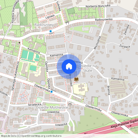 ul. Brzozowa, Kochłowice, Ruda Śląska, śląskie