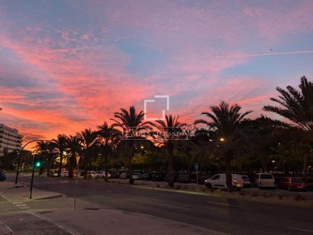 Valencia, Valencian Community 46024 - Photo 5