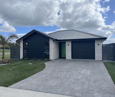 Brand New Executive Home - Photo 2