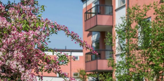 Levertinsgatan 16, 75430, Uppsala - Photo 2