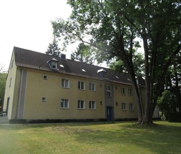 2-Zimmer-Wohnung in ruhiger Lage - Foto 2