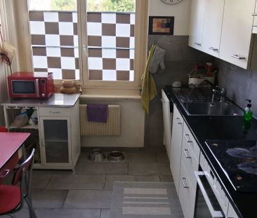 3 Zimmer Wohnung inkl. Mansarde Zimmer - Photo 3