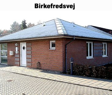 Rørsangervej,Teglvænget,Birkefredsvej 446-0 - Foto 4