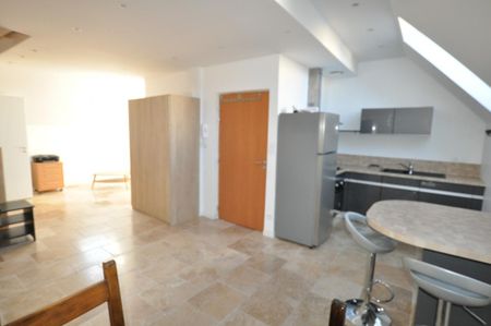 2 PIECES DUPLEX CENTRE-VILLE - Photo 4