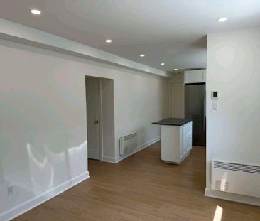 3 et demi lumineux à Longueuil - Photo 3