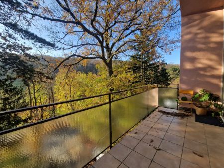 PÖTZLEINSDORFER PARK - LOFTARTIGE ARCHITEKTENWOHNUNG - TRAUMHAFTE LAGE - GARTENNUTZUNG - GRÜNBLICK - 5 ZIMMER + grosser BALKON - Foto 2