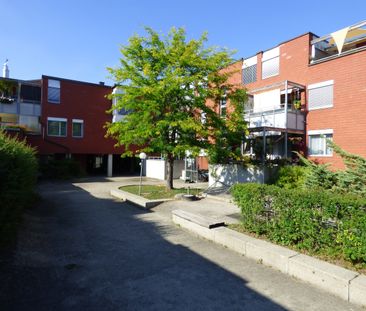 Wohnung in familienfreundlicher Überbauung - Befristet bis 31.10.2027 - Foto 4