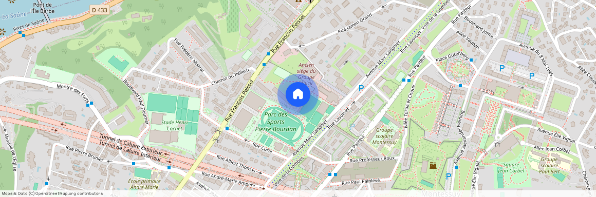 36 Rue François Peissel, 69300 Caluire-et-Cuire