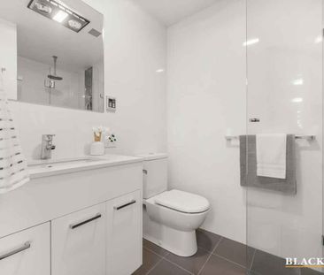 Single-Level Sophistication with Courtyard Elegance - Photo 3