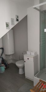 Location Appartement 1 pièce 21m² - Photo 4