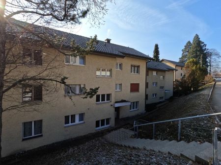 1.5-Zimmer-Wohnung mit Charme - neuen Böden und schönem Sitzplatz mit toller Aussicht! - Photo 2