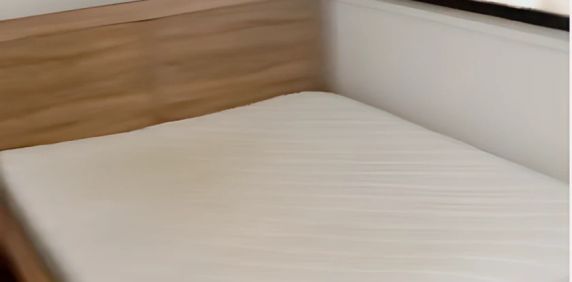 1 bed 1 bath-269 - Photo 2