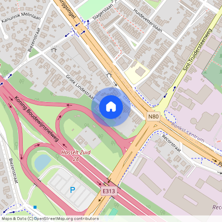 Grote Lindestraat 6, 3500 Hasselt