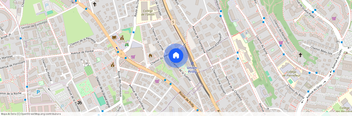 1008, Prilly, Chemin Du Vieux-Collège, 16