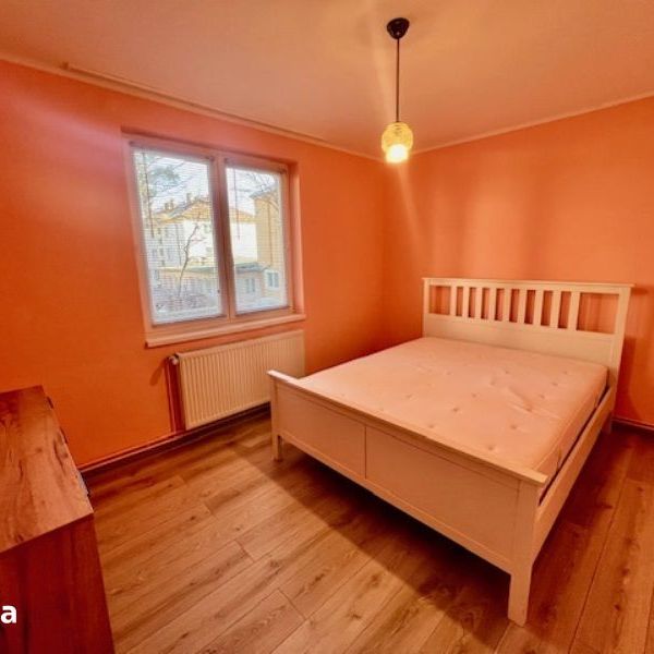 AA/1113 De închiriat apartament cu 2 camere în Tg Mureș - 7 Noiembrie - Fotografie 1