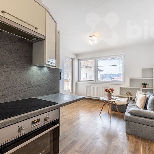 Pronájem bytu 1+kk 30 m² - Photo 1