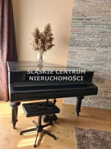 Centrum, Czarna, Sosnowiec - Zdjęcie 2