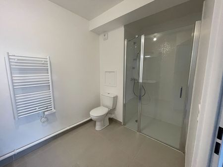 Location Appartement 1 pièce 31m² - Photo 3