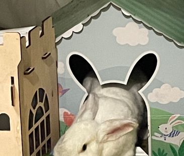 Lower Plenty - Photo 3