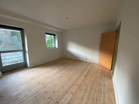 2 vær. lejlighed til leje i Vejle. 51m2. Fantastisk udsigt! - Foto 2