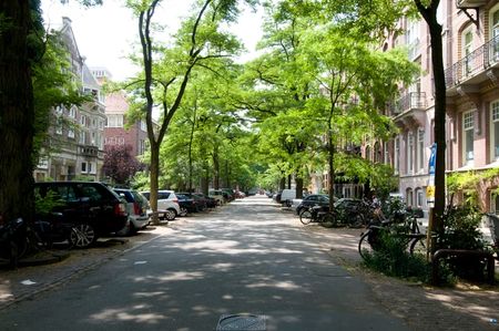 Appartement te huur: Pieter Cornelisz. Hooftstraat 39-3 1071 BM Amsterdam - Foto 4