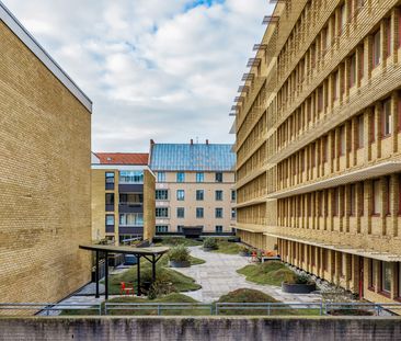 Stora Trädgårdsgatan, Malmö - Photo 2